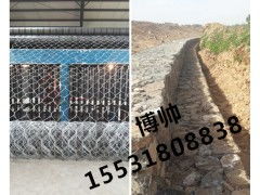 國內水利工程專用固濱籠 大品牌廠家的專業之選