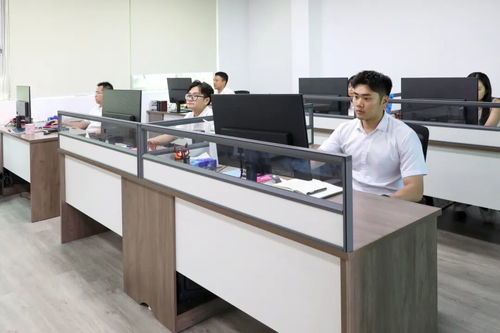謝崗文旅發展正式揭牌，商業綜合體管理服務助力區域發展加速鍵